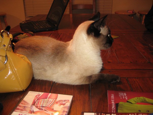 Aline Sorrell's album, Christmas 2009