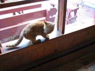 Maribeth Bach's album, Oliver