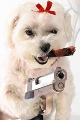 Steven Johnson's album, Timeline Photos