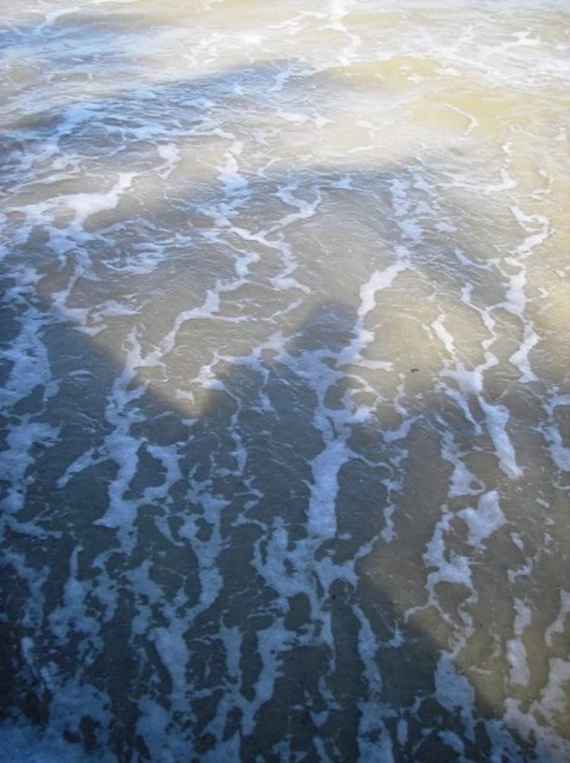 Deborah Millier's album, Puerto Galera 2009