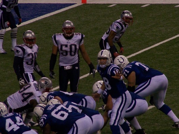 Ron Loy's album, colts pics