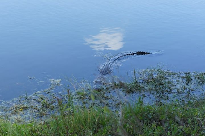 Vicky Chalk's album, 4/13 visit to Fort Meyers