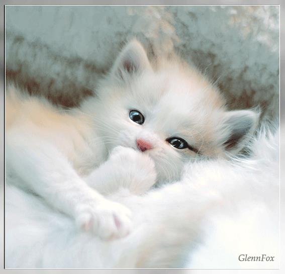 Patricia Lute's album, Timeline Photos