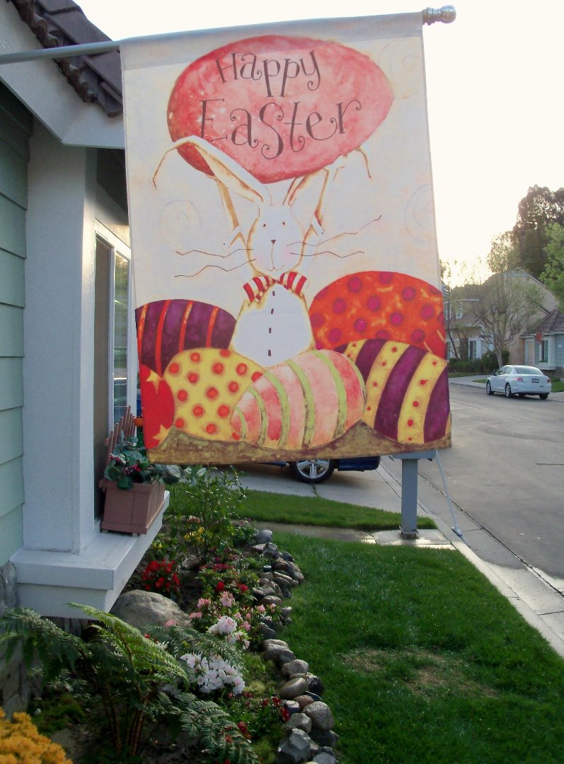 Steven Isom's album, yard