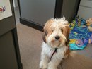 Jennifer Fields' album, Timeline Photos