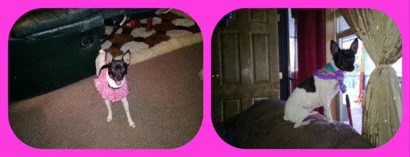 Sabrina Adams' album, Cover Photos