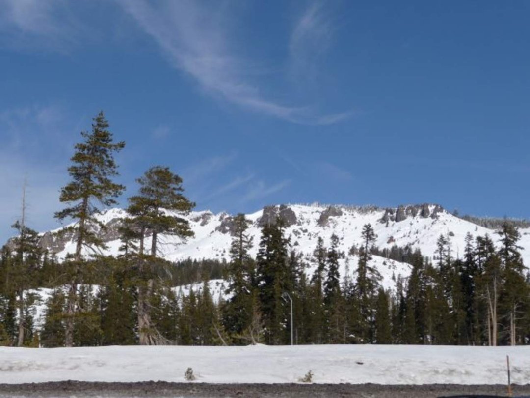 Robert Tepner's album, Feb 2010