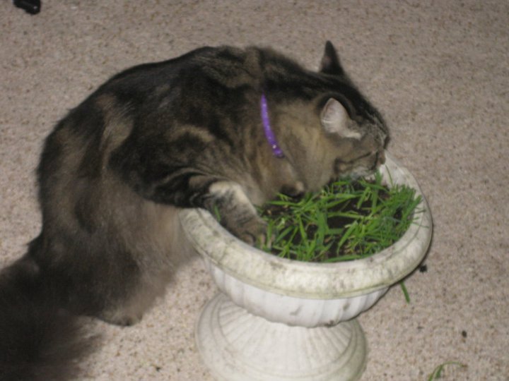 Wanda Hogaboom's album, December 3, 2010