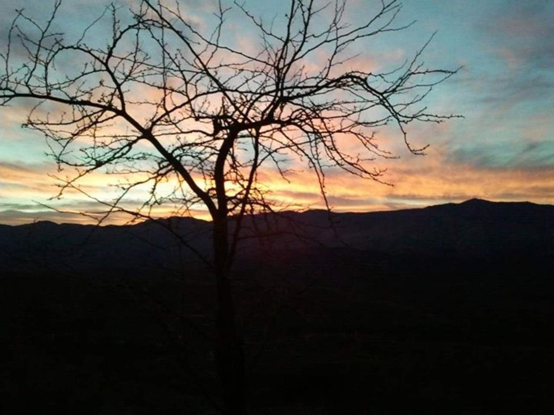 Marjorie Lopez's album, Thanksgiving in Az 2012