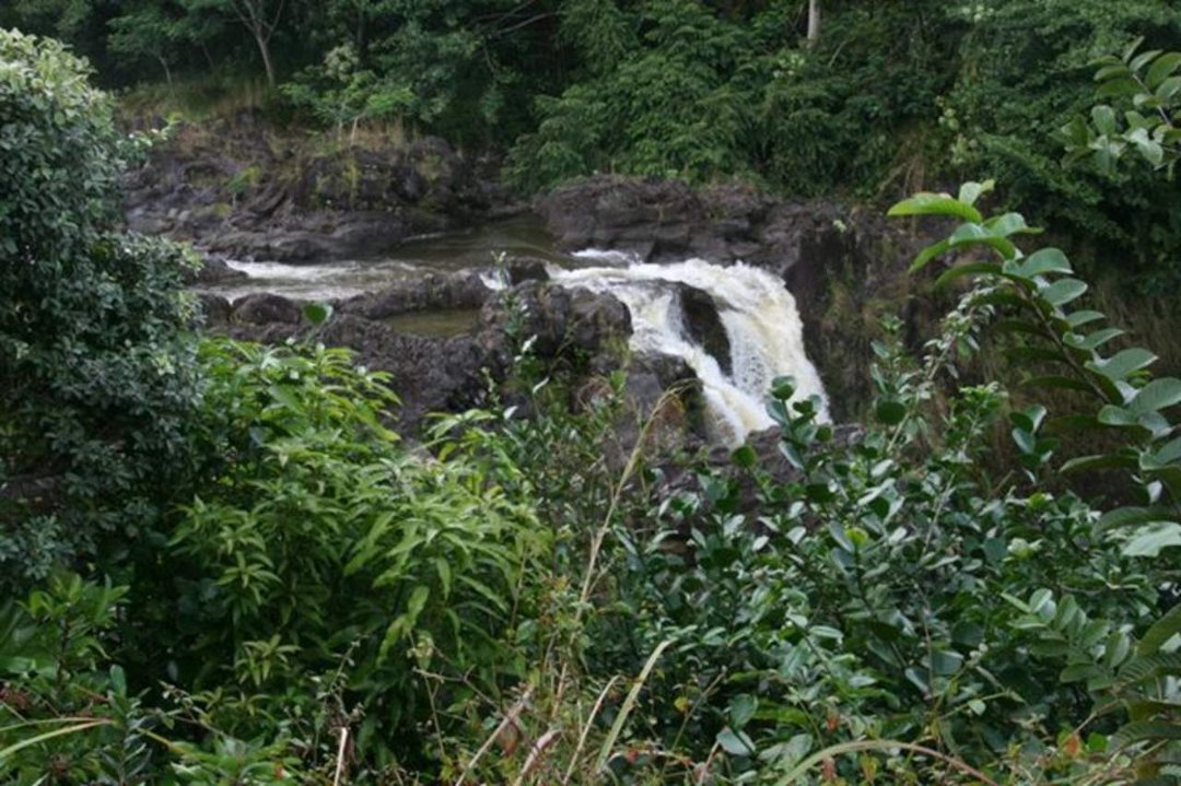 Nancy Reed's album, Big Island