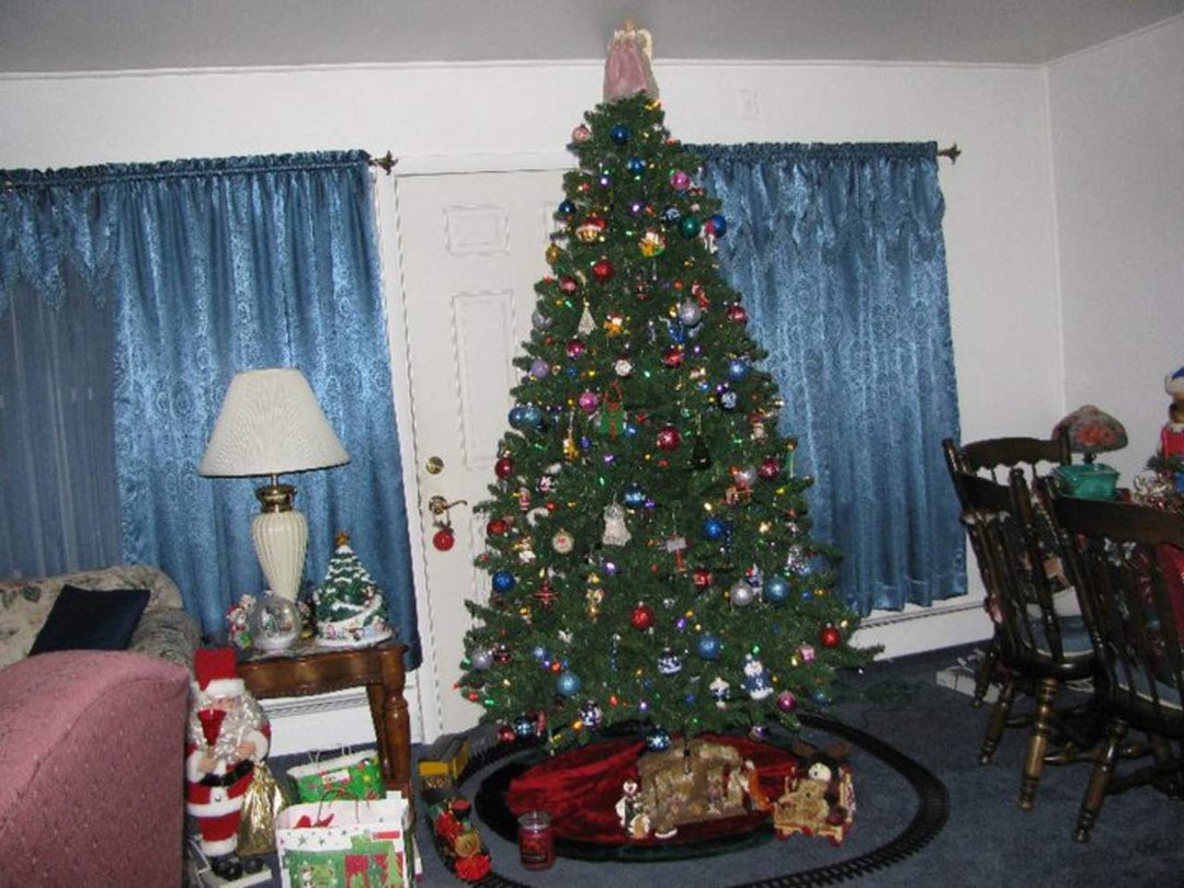 Janice Thompson's album, Christmas 2010