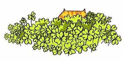 Cindy von Hoffmann's album, Cover Photos