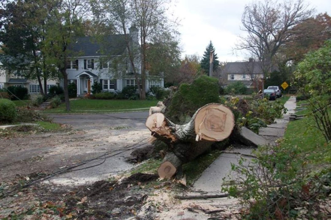 Thomas Bricker's album, Hurricane Sandy Visits the Brickers