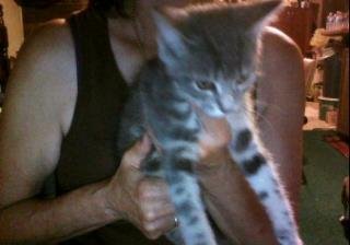 Barbara Bennett's album, Webcam Photos
