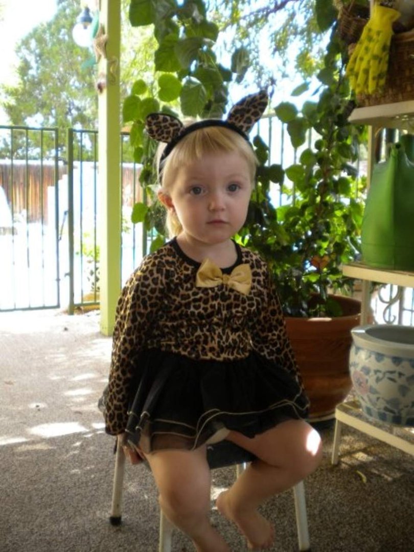 Kat Domet's album, Greg and Delia Halloween