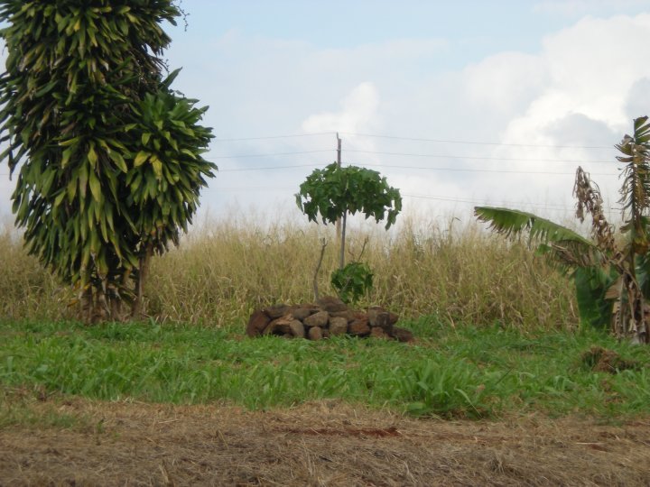 Stuart Robinson's album, PIC