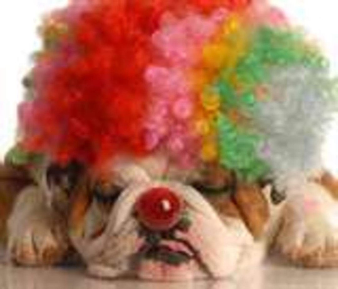 Carol Leek's album, Timeline Photos