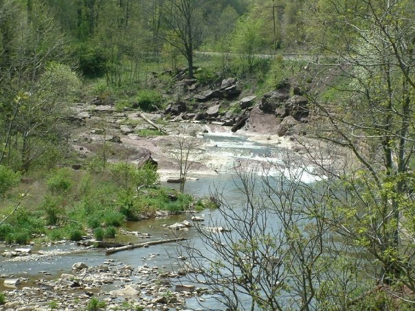 Gregory Condio's album, Fishing Wills Creek