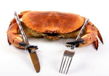 Robert Kelley's album, Seafood Dinners to enjoy