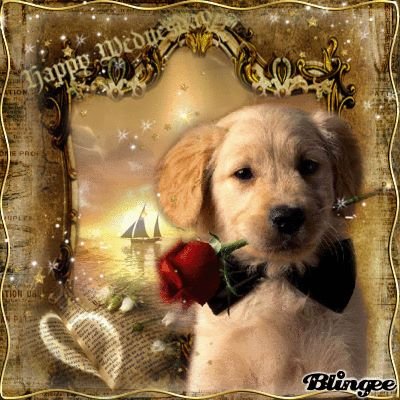Nancy Brown's album, Timeline Photos