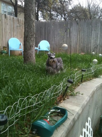 John Faison's album, iOS Photos