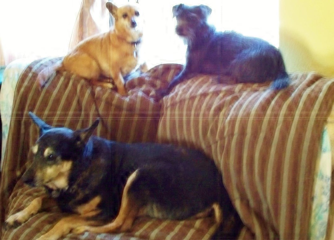 Rosalyn Starks' album, Cover Photos