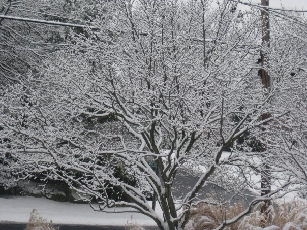 June Glaser Schechner's album, Timeline Photos