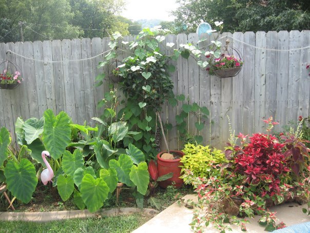 Sharon Moore's album, Missing My Garden