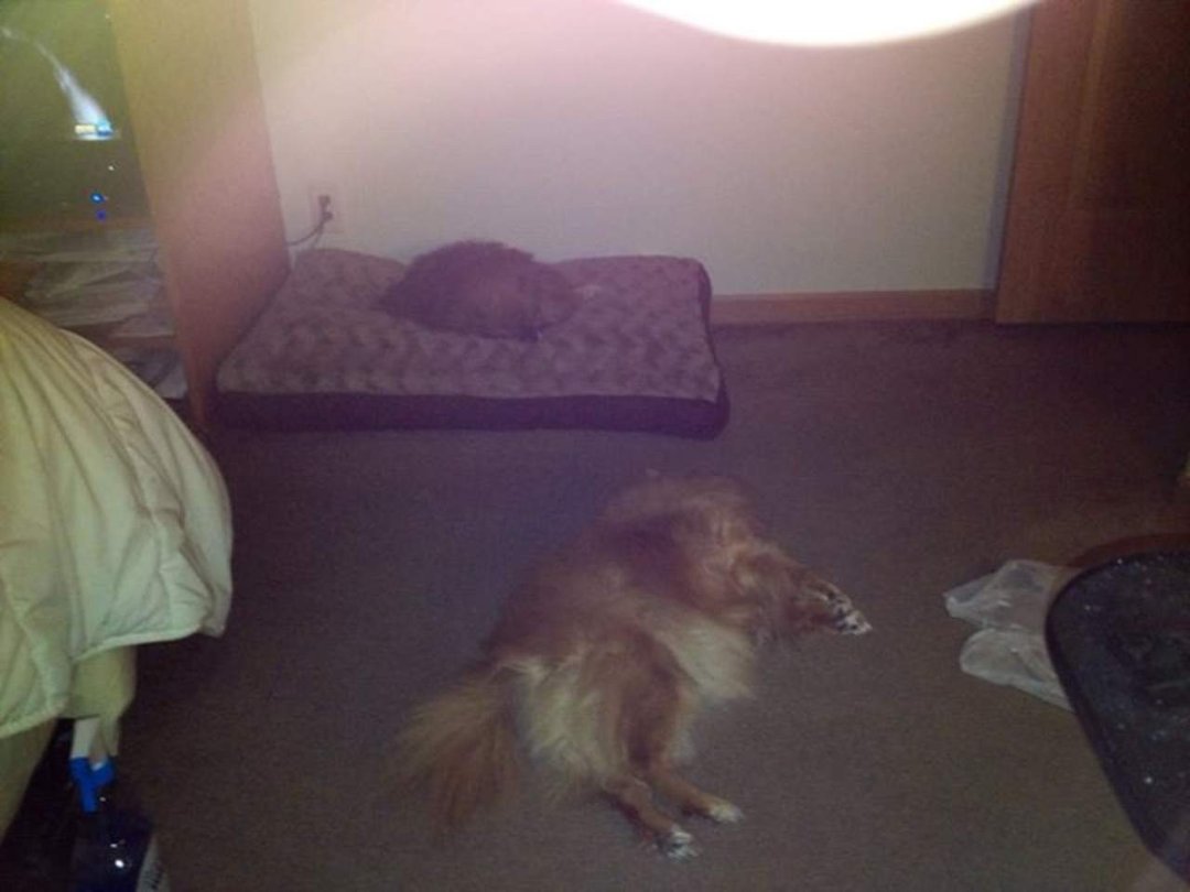 Kim Hunsanger's album, iOS Photos