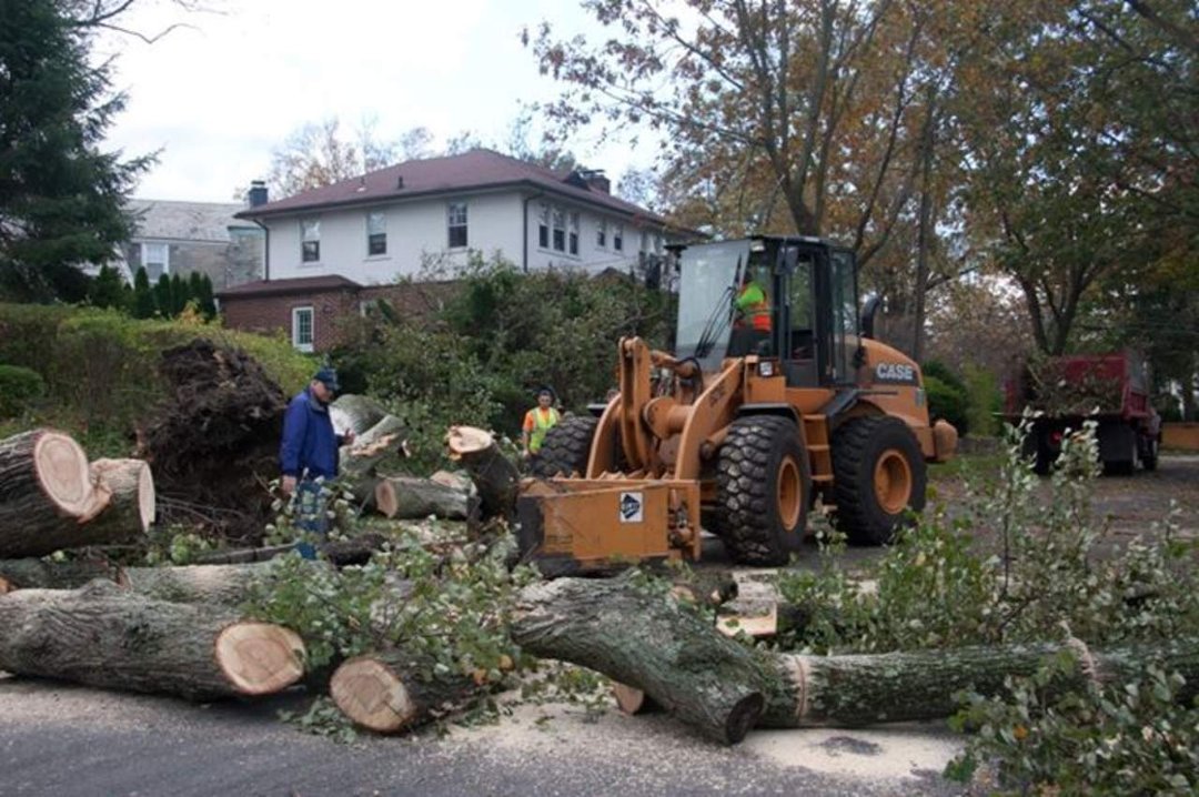 Thomas Bricker's album, Hurricane Sandy Visits the Brickers