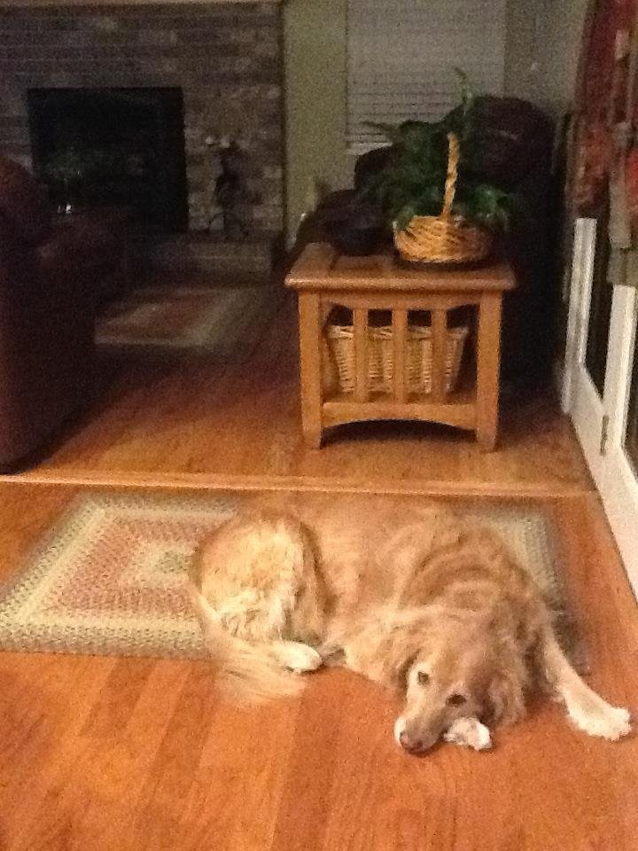 Sandy Brunnenmeyer's album, Mobile Uploads