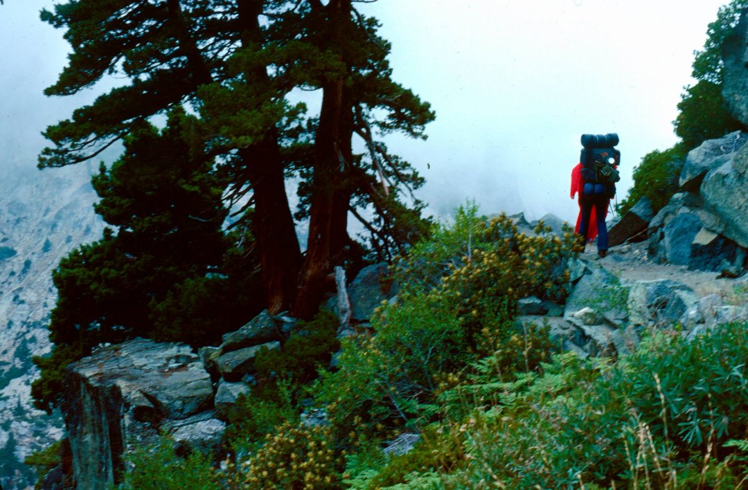 Daryl Strandlien's album, Backpacking