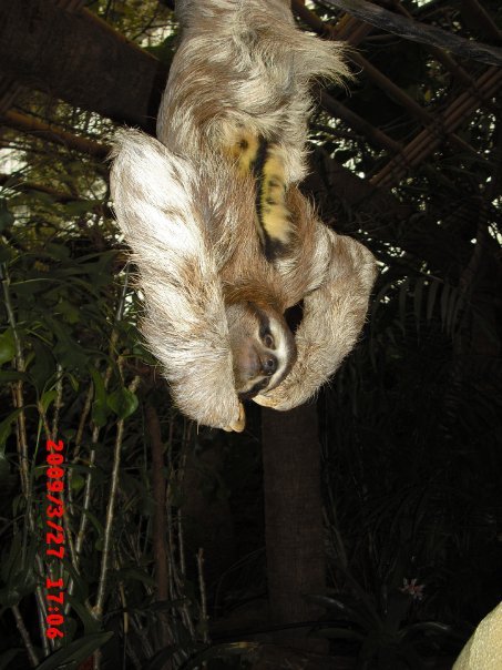Terry Waters' album, Dallas World Aquarium