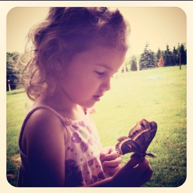 Jami Ternes' album, Profile Pictures