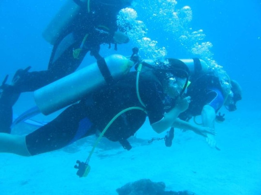 Steven Clem's album, St Maarten Diving