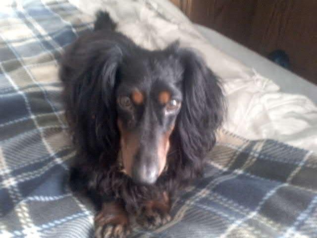 Patty Monjay's album, Mobile Uploads