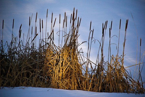 Beth Bailey's album, Winter in Northern Mid-Michigan