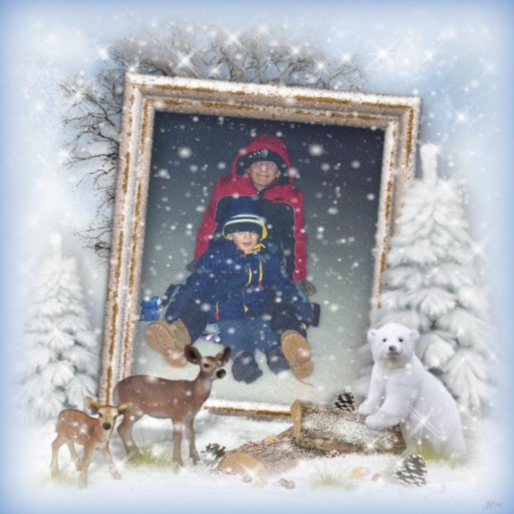 Tracy Countryman's album, Cover Photos