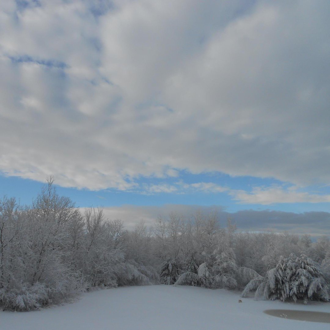 Kim Bernhardt's album, Cover Photos