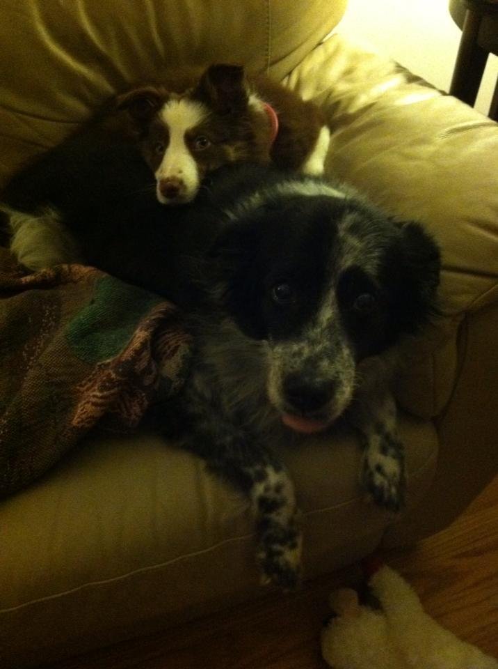 Bruce Fehr's album, Mobile Uploads