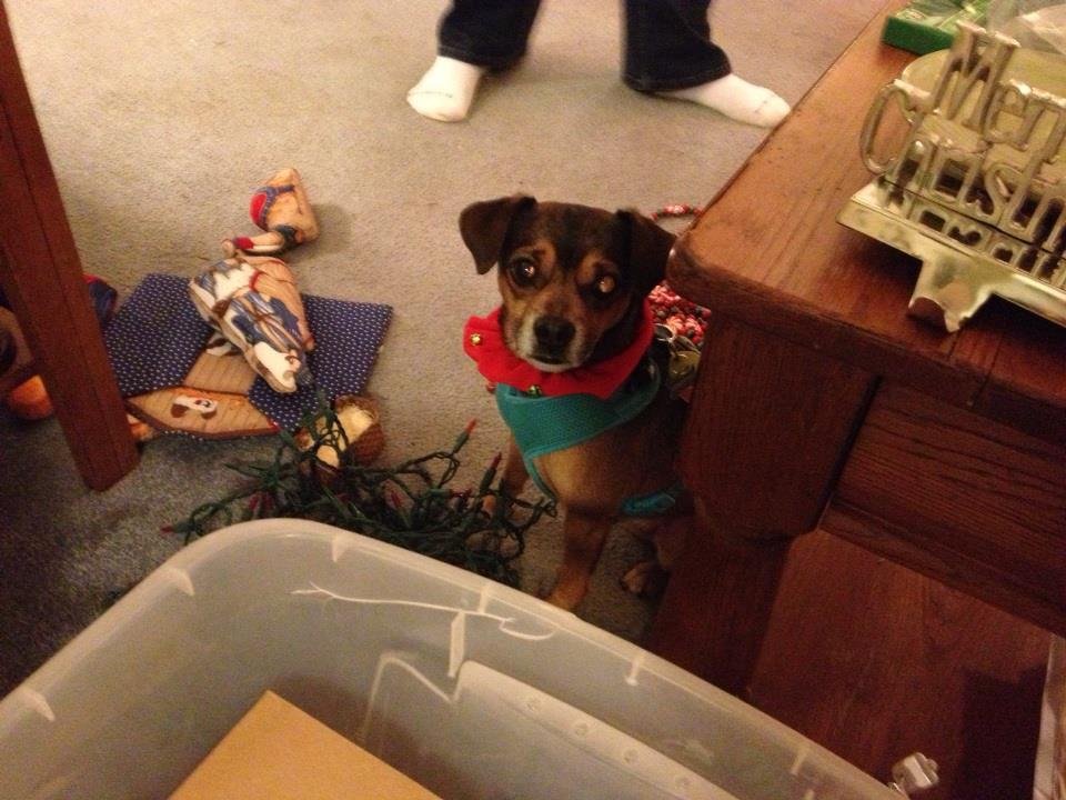 Crystal Pruitt's album, iOS Photos