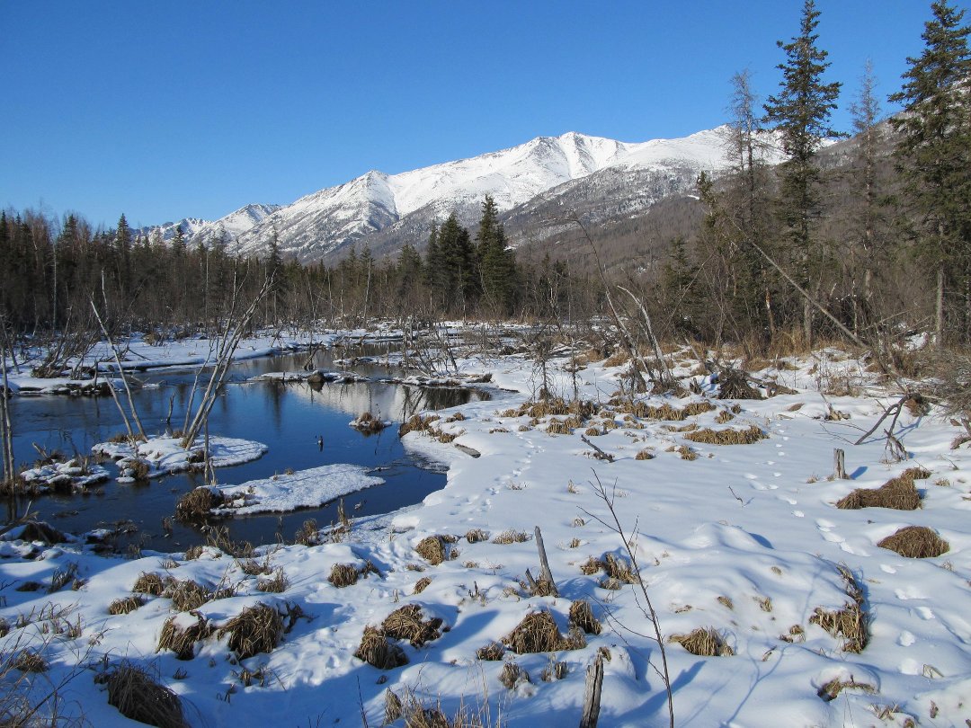 Ralph Heller's album, Iditarod2