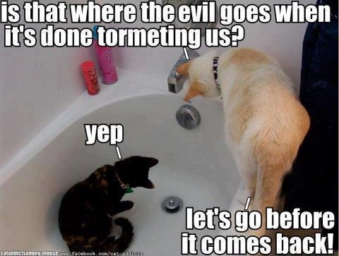 Jan Weddle's album, Timeline Photos