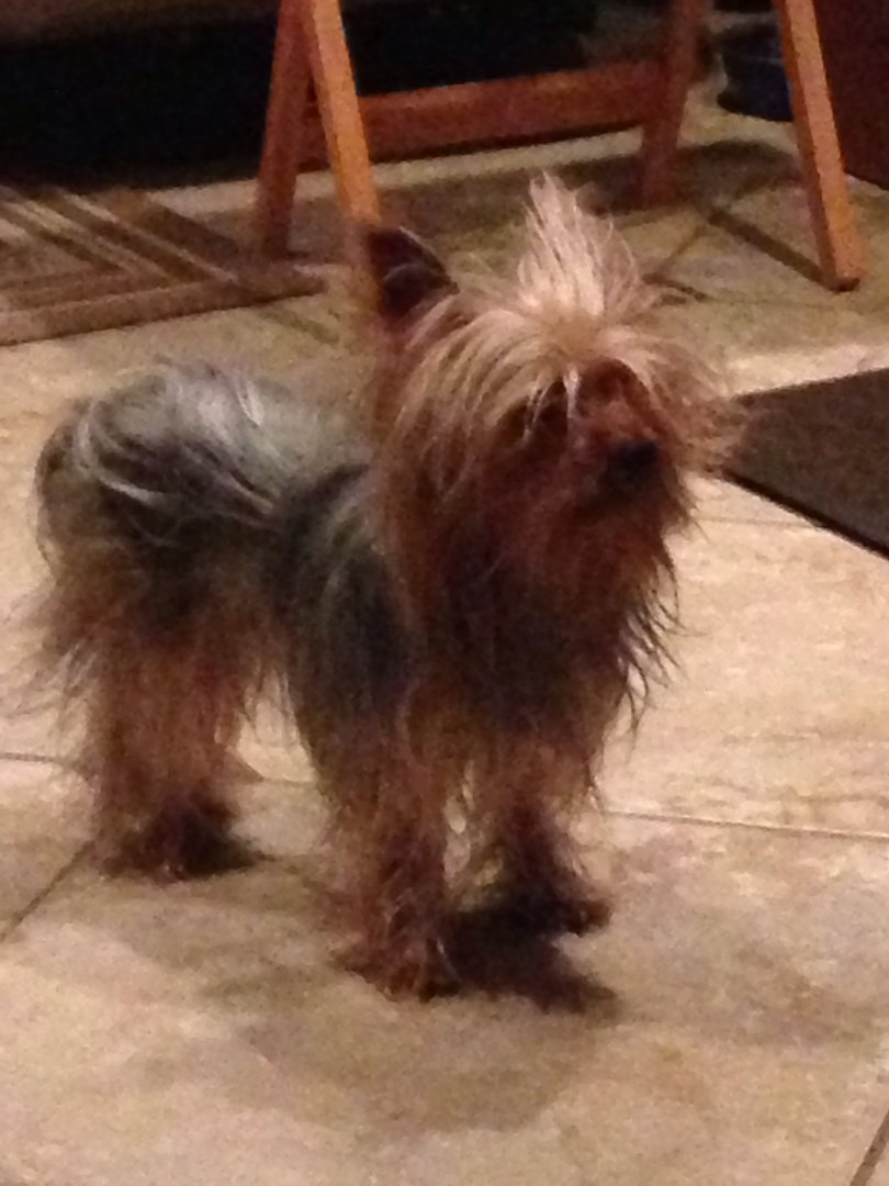 Lynn Plummer's album, iOS Photos