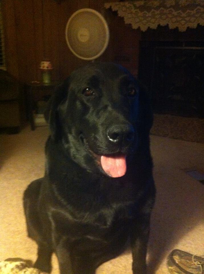 Sharyl Dennison's album, iOS Photos