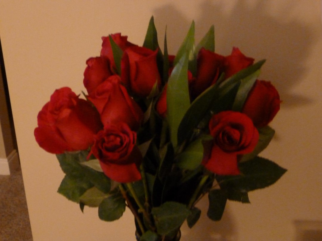 Patricia Singleton Holzman's album, Timeline Photos