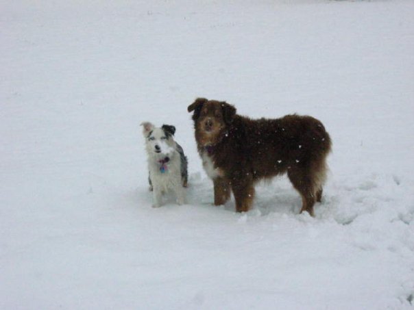 Jane Adams' album, Snowy Day 1-11-10