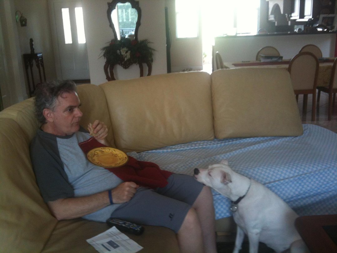 Daniel Reilly's album, Mobile Uploads