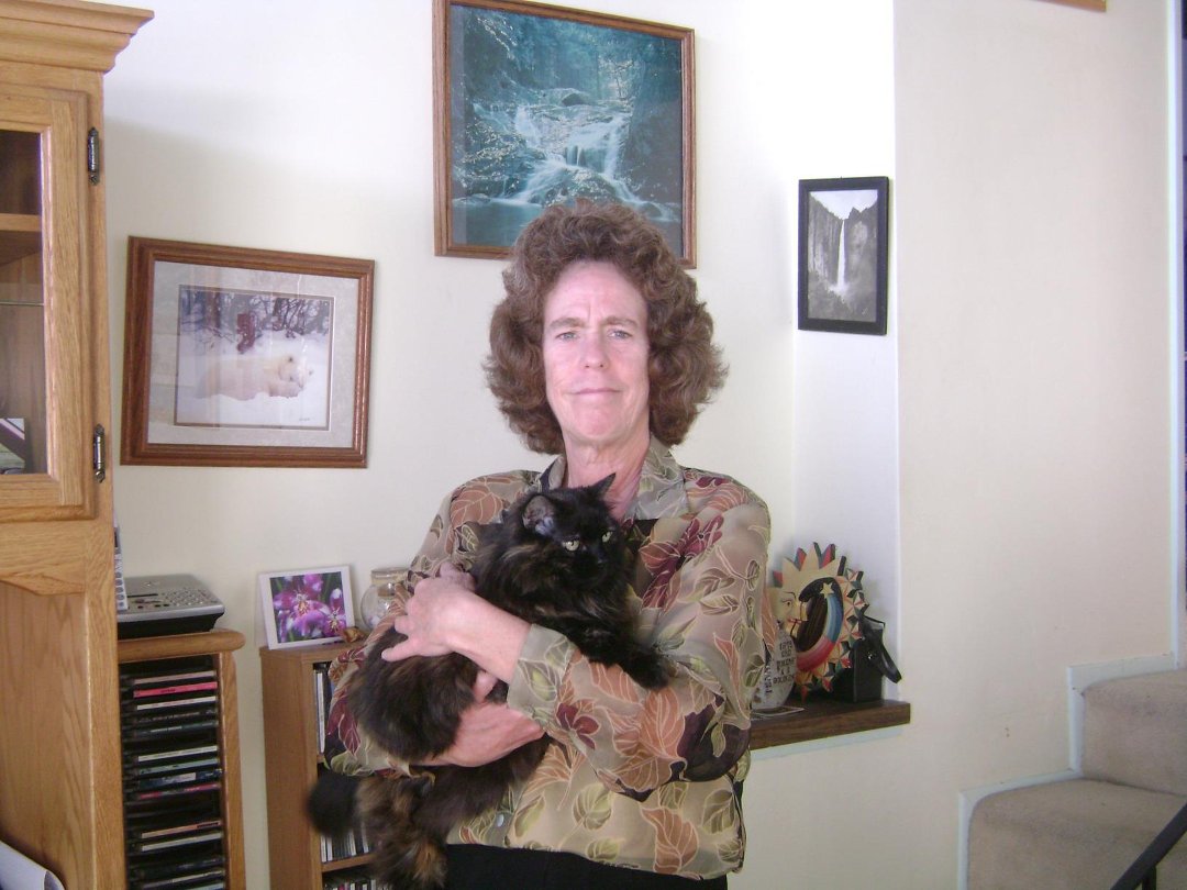 Susan Gerdsen's album, Profile Pictures