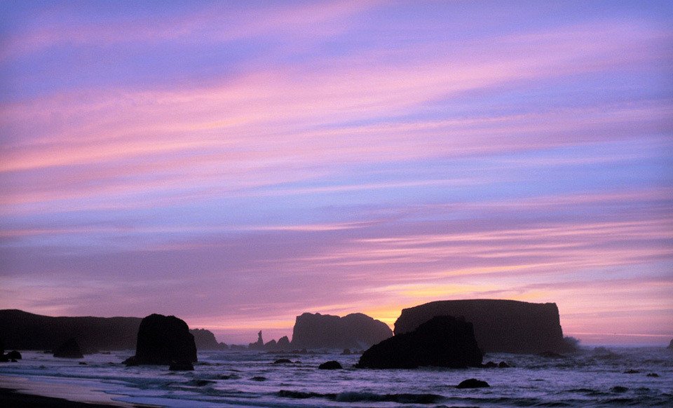 Sharon Storey's album, Cover Photos